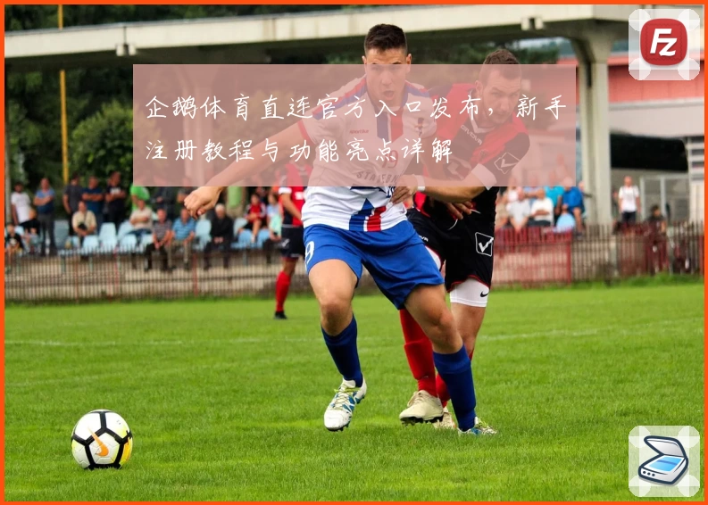 企鹅体育直连官方入口发布，新手注册教程与功能亮点详解