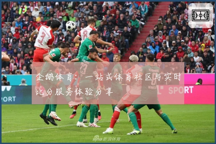 企鹅体育：一站式体育社区与实时比分服务体验分享