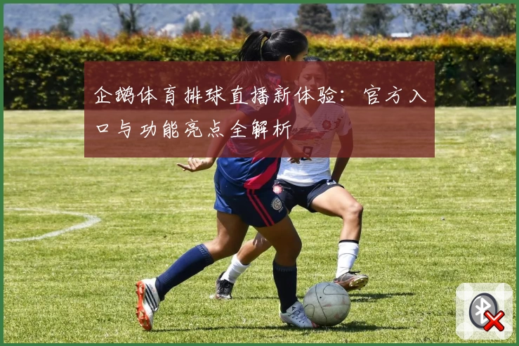 企鹅体育排球直播新体验：官方入口与功能亮点全解析