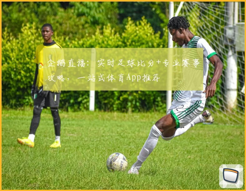 企鹅直播：实时足球比分+专业赛事攻略，一站式体育App推荐